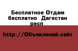 Бесплатное Отдам бесплатно. Дагестан респ.